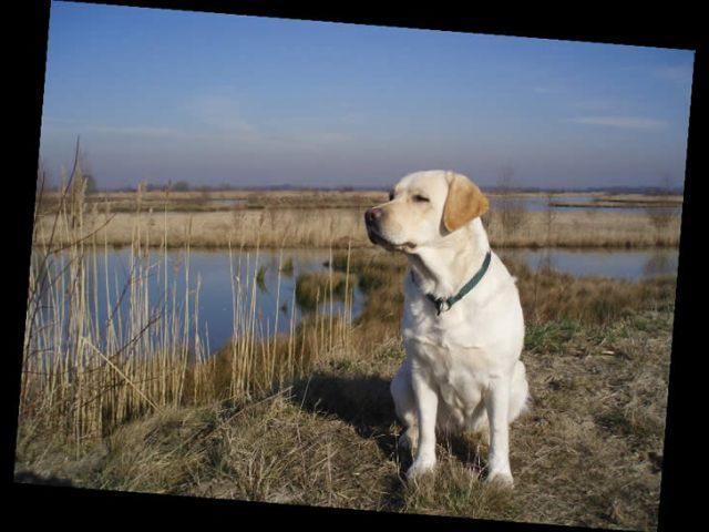 Bei den Ausschachtungen 03